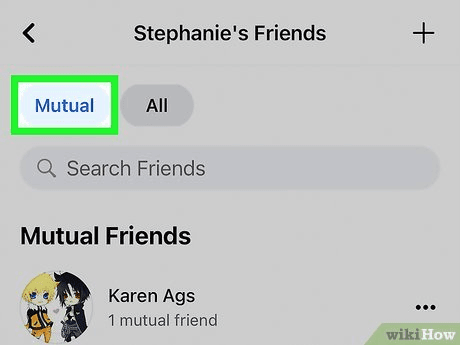Facebook Mutual Friends Section